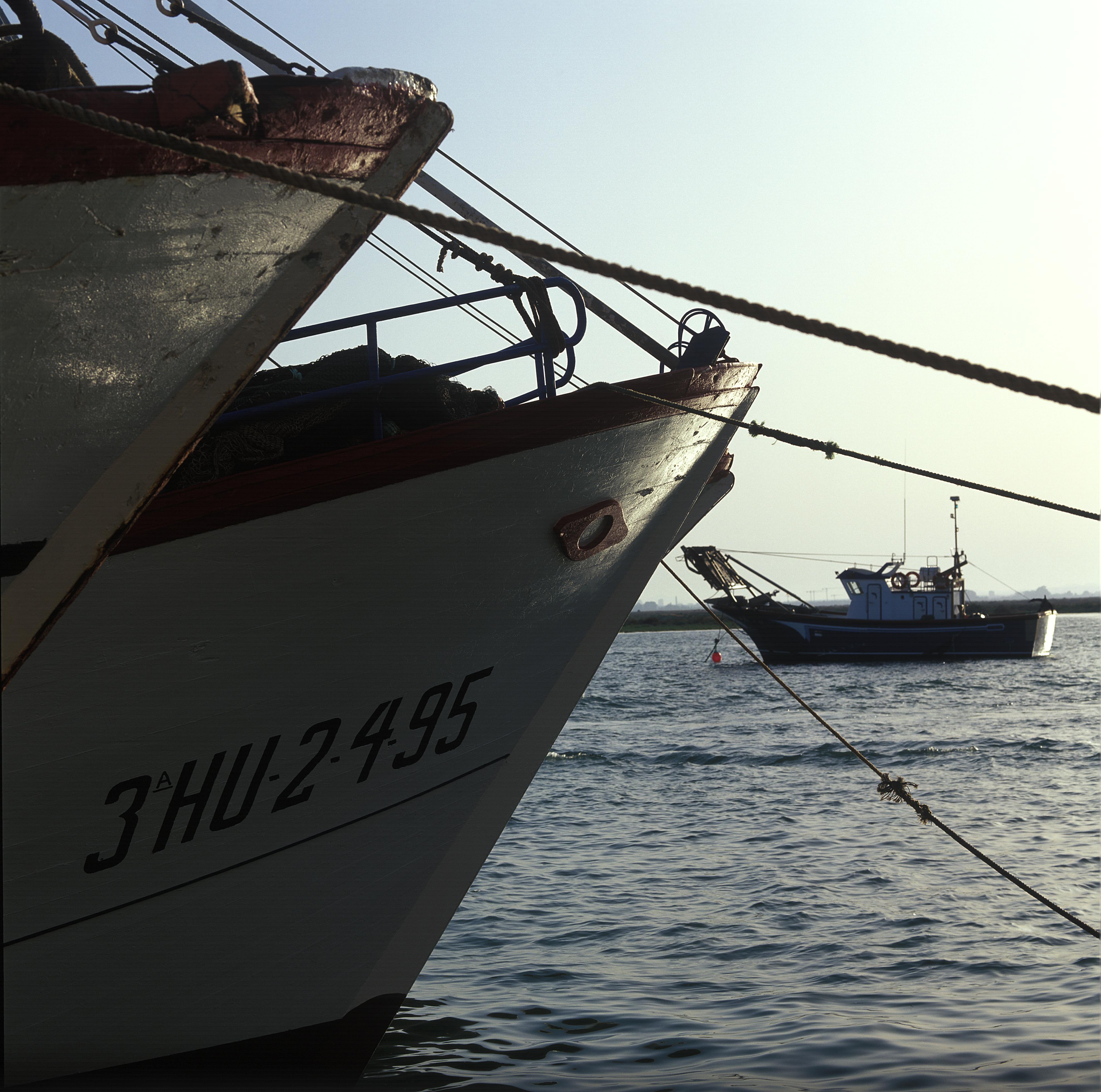 Puerto pesquero de Isla Cristina