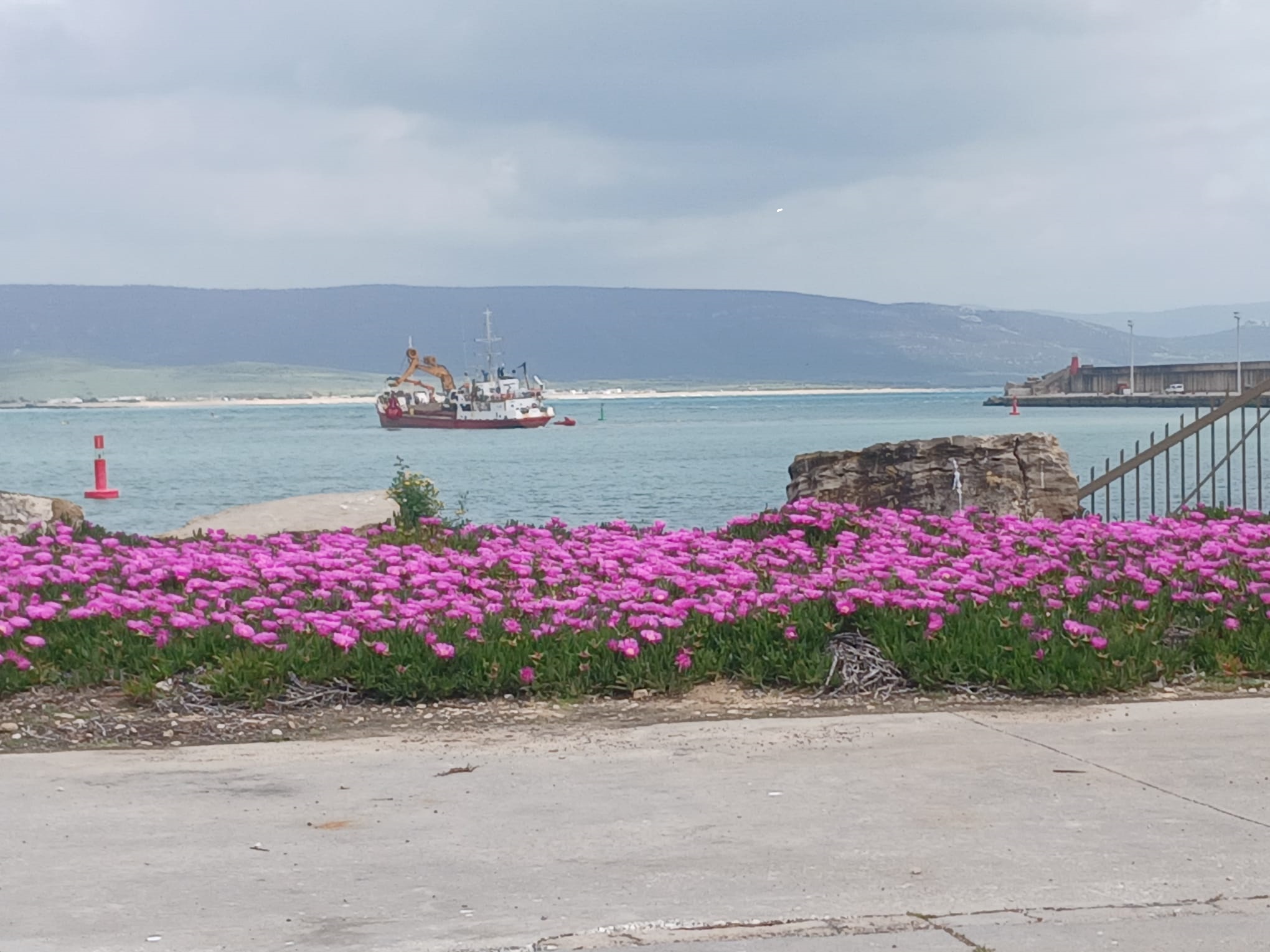 DECLARADO DE EMERGENCIA EL ARREGLO DE LOS PUERTOS ANDALUCES DAÑADOS POR EL TREN DE BORRASCAS 