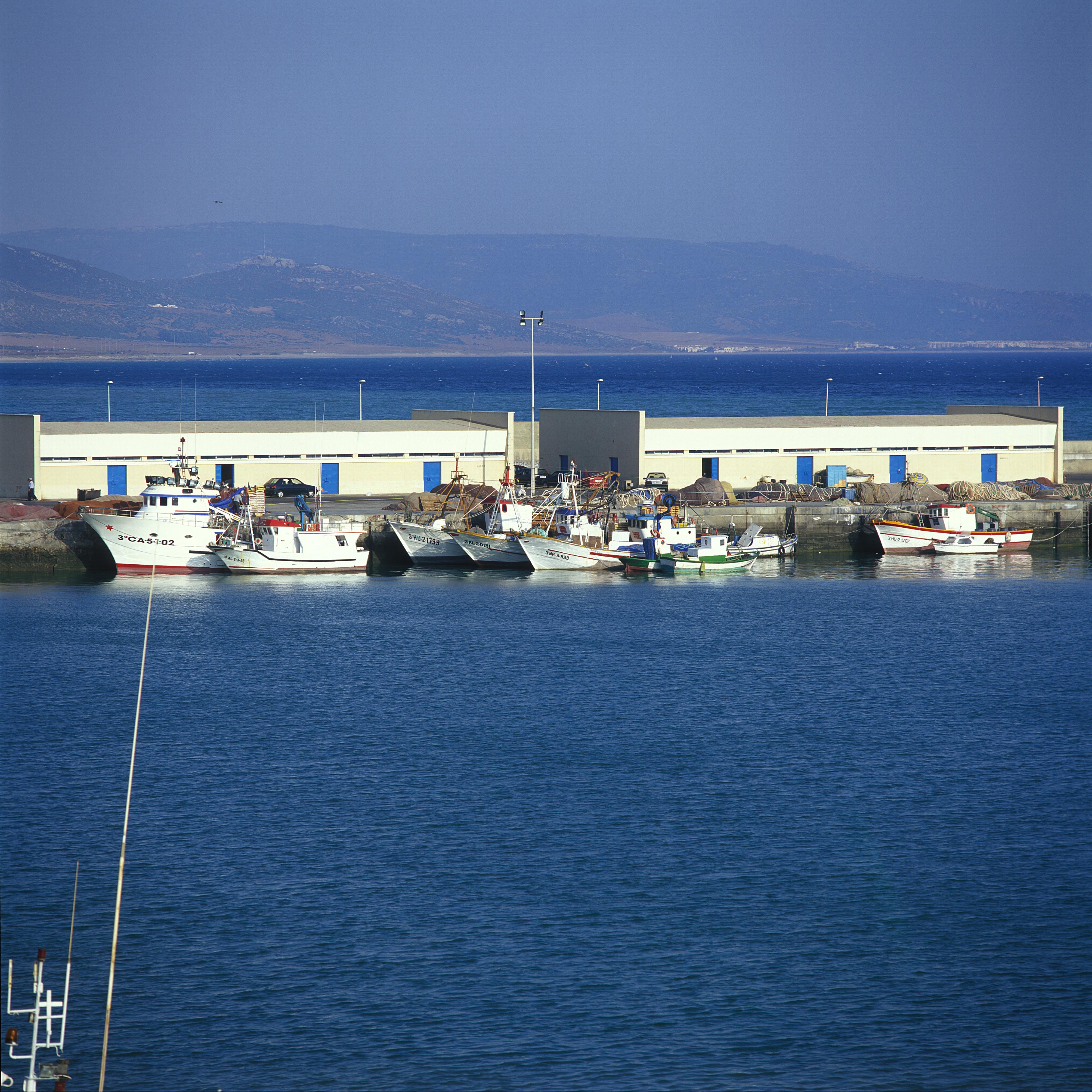 Puerto deportivo Barbate - Imagen 33