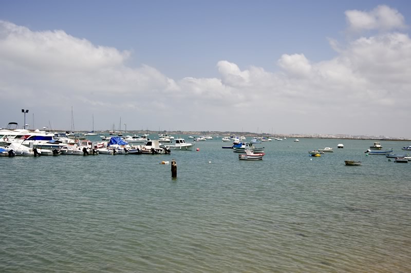 Puerto de Sancti Petri - Imagen 11