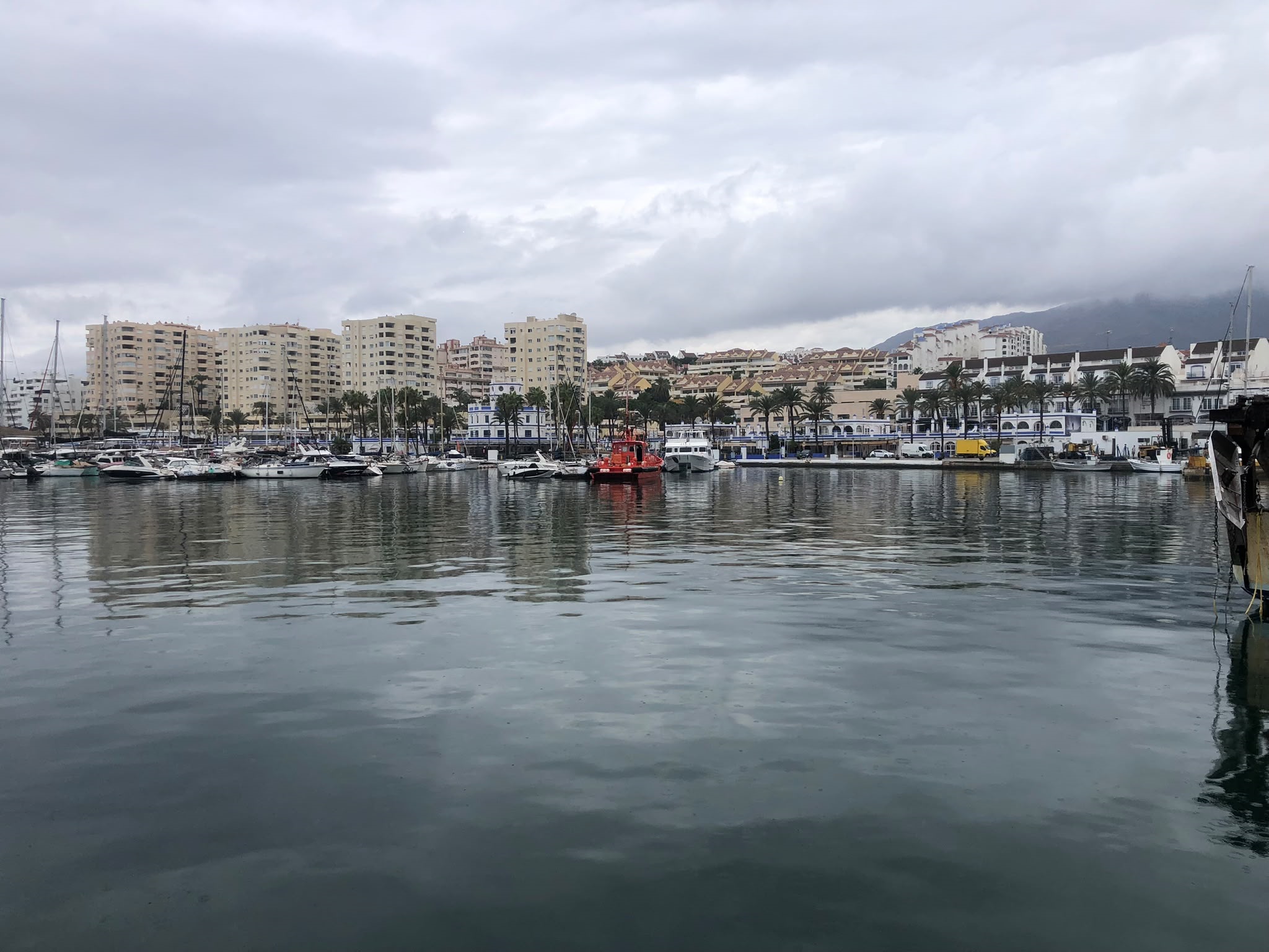 LA JUNTA RECIBE ONCE OFERTAS DE EMPRESAS PARA LA CONCESIÓN DEL PUERTO DE ESTEPONA LA JUNTA RECIBE ONCE OFERTAS DE EMPRESAS PARA LA CONCESIÓN DEL PUERTO DE ESTEPONA