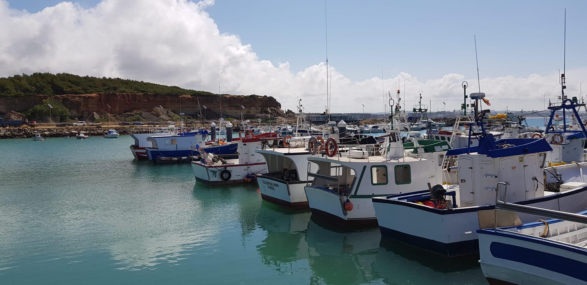 RESOLUCIÓN DE LA DIRECCIÓN GENERAL DE LA AGENCIA PÚBLICA DE PUERTOS DE ANDALUCÍA POR LA QUE SE CIERRAN LOS PUERTOS DE LA PROVINCIA MARÍTIMA DE CÁDIZ POR TEMPORAL DE SUR OESTE EN LA ZONA DE CÁDIZ, FUERZA 8