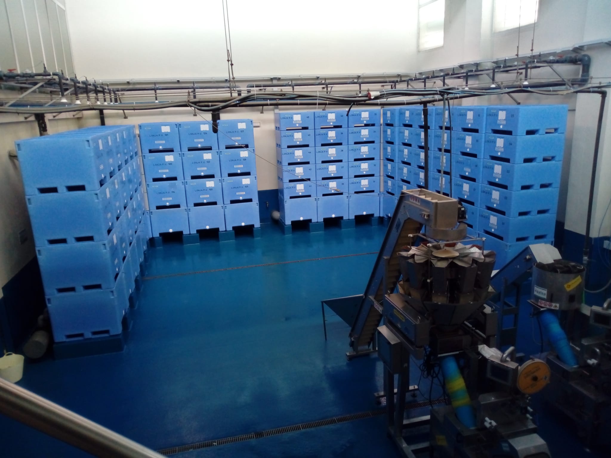 LA JUNTA FINALIZA LA OBRA DEL CENTRO DE DEPURACIÓN DE MOLUSCOS DEL PUERTO DE PUNTA UMBRÍA