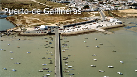 Puerto pesquero de Gallineras